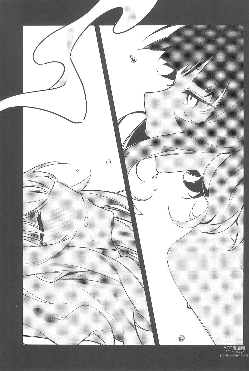 Page 13 of doujinshi MIRROR