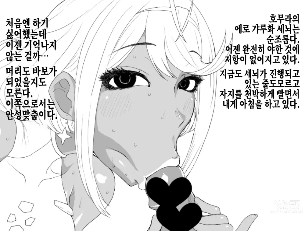 Page 24 of doujinshi 갸루 호무