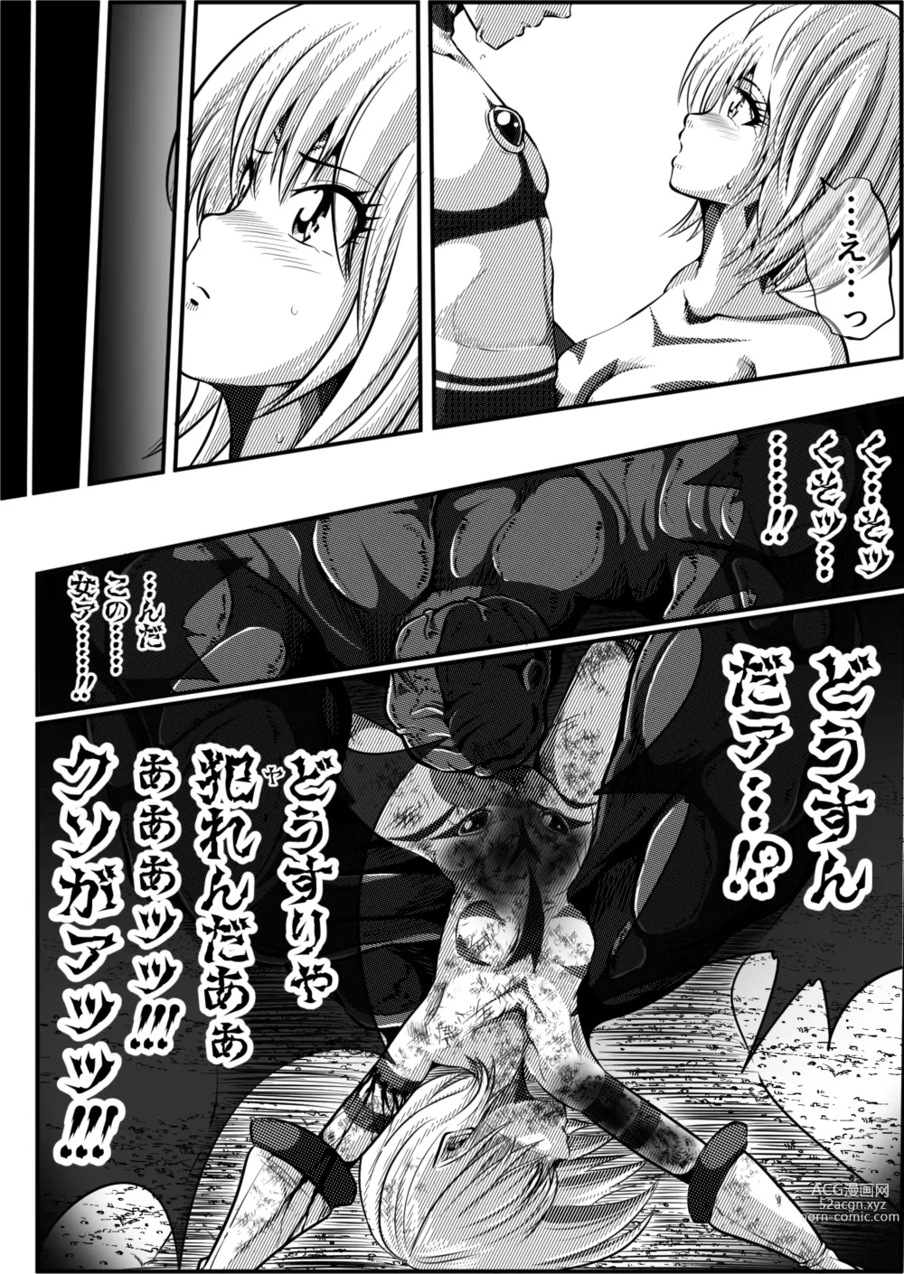 Page 48 of doujinshi Zainin to Hime ~Fiora Crisis Gaiden 4~