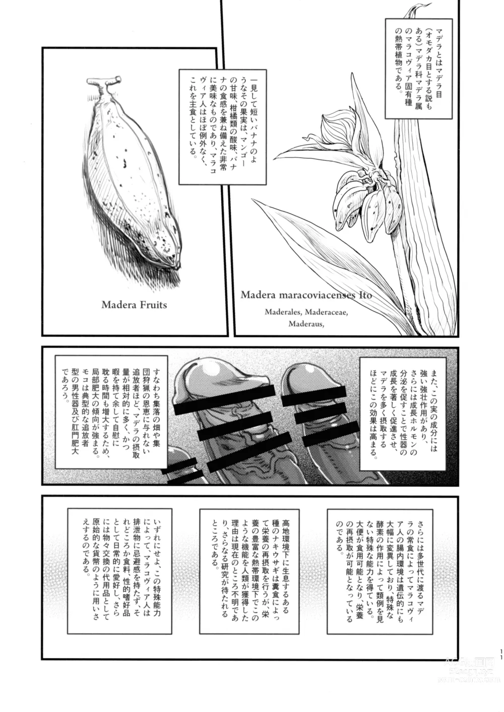 Page 10 of doujinshi Dankon no Ethnography -Malakovia no Sei to Haisetsu-