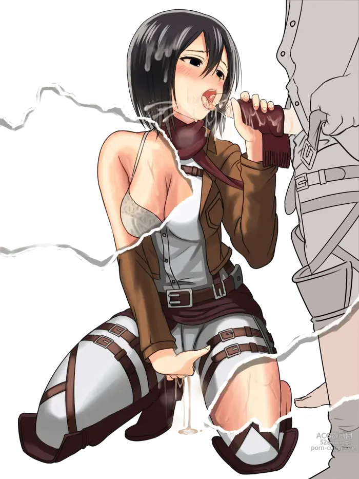 Page 162 of imageset Attack On Titan Collection