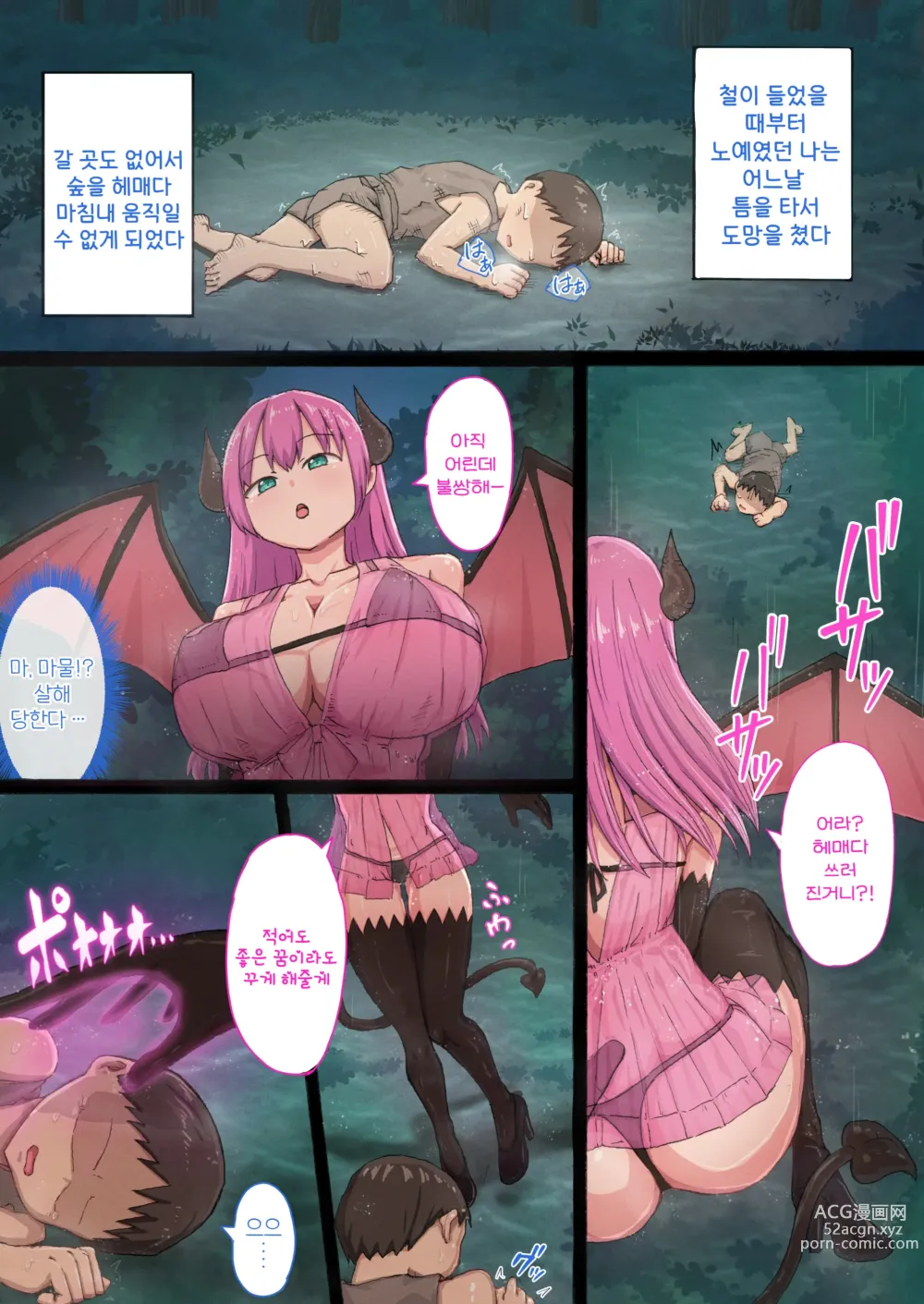 Page 3 of doujinshi 서큐버스 창관의 다락방