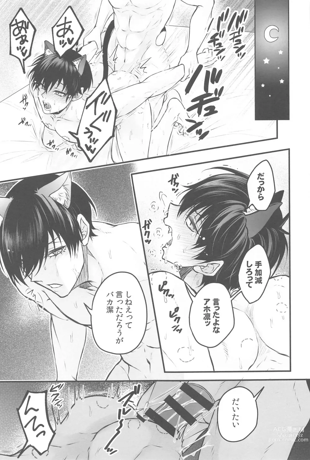 Page 18 of doujinshi RINISA VARIETY PACK