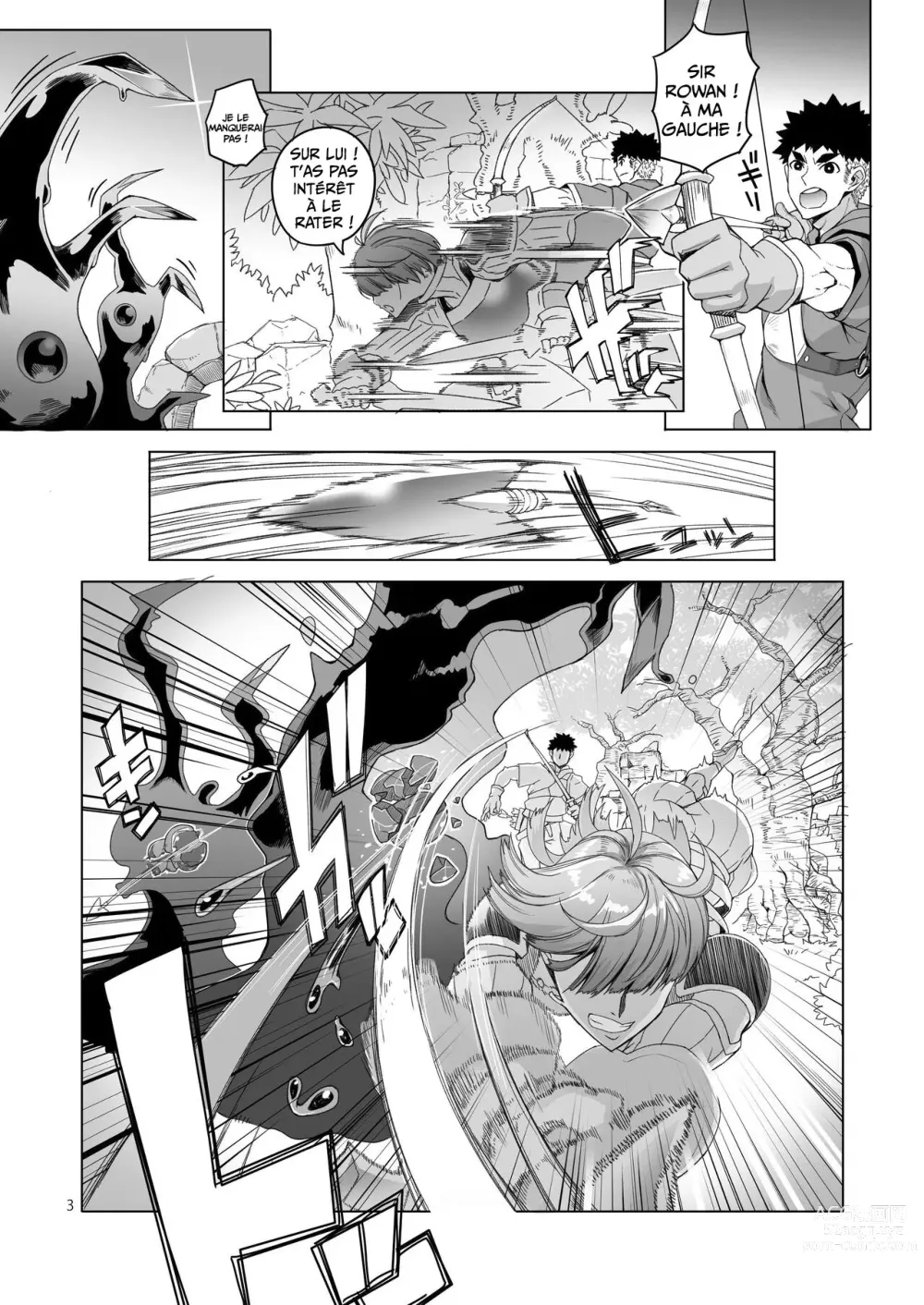 Page 2 of doujinshi Rowan, L'Épéiste ne peut pas se Cacher