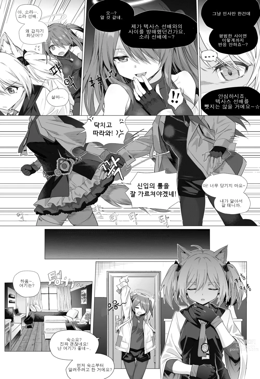 Page 4 of doujinshi 후타나리 소라 x 엑시아