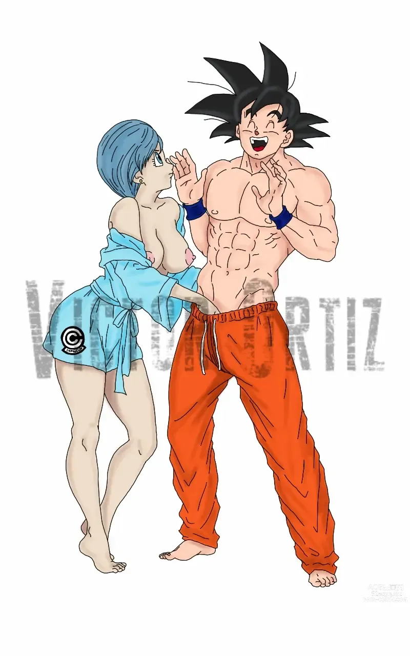 Page 1306 of imageset Bulma Briefs Collection