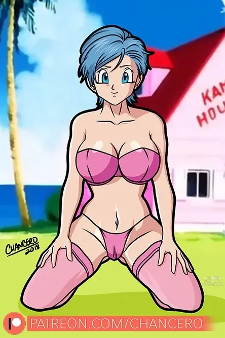 Page 1315 of imageset Bulma Briefs Collection