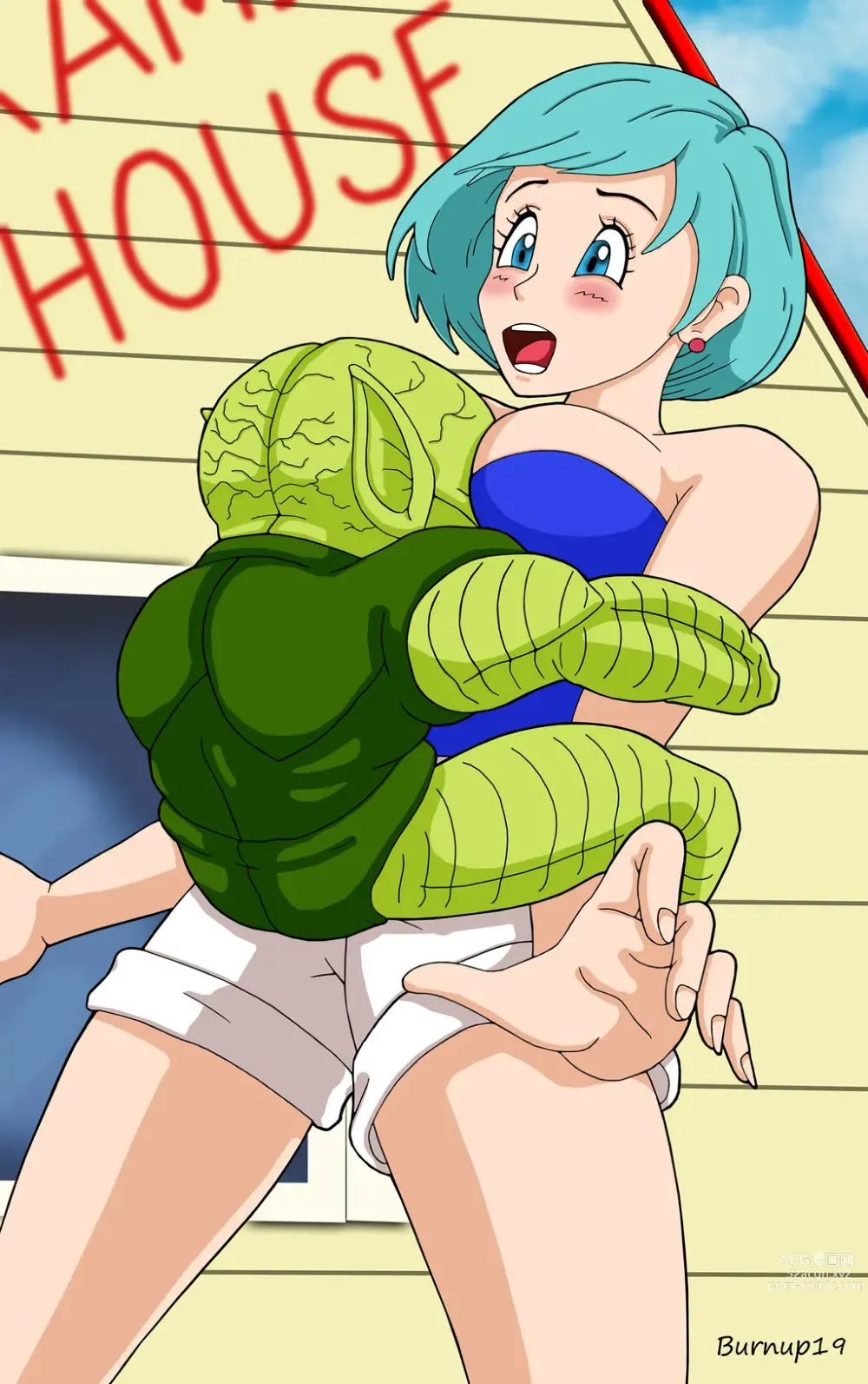 Page 1424 of imageset Bulma Briefs Collection