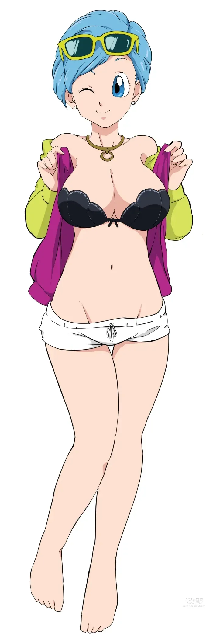 Page 1633 of imageset Bulma Briefs Collection