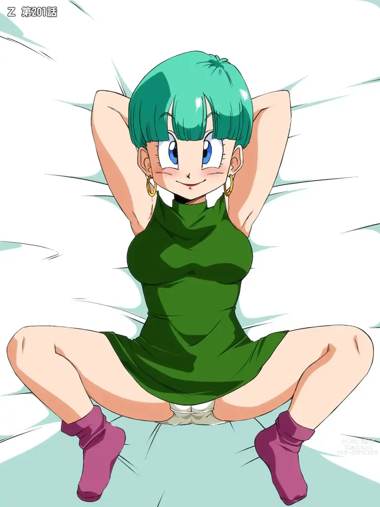 Page 441 of imageset Bulma Briefs Collection