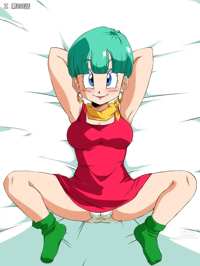 Page 443 of imageset Bulma Briefs Collection