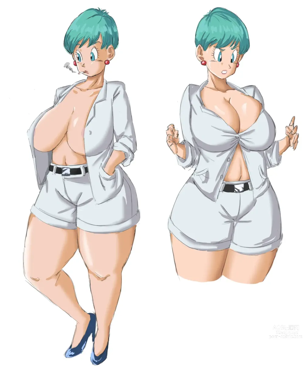 Page 1210 of imageset Bulma Briefs Collection