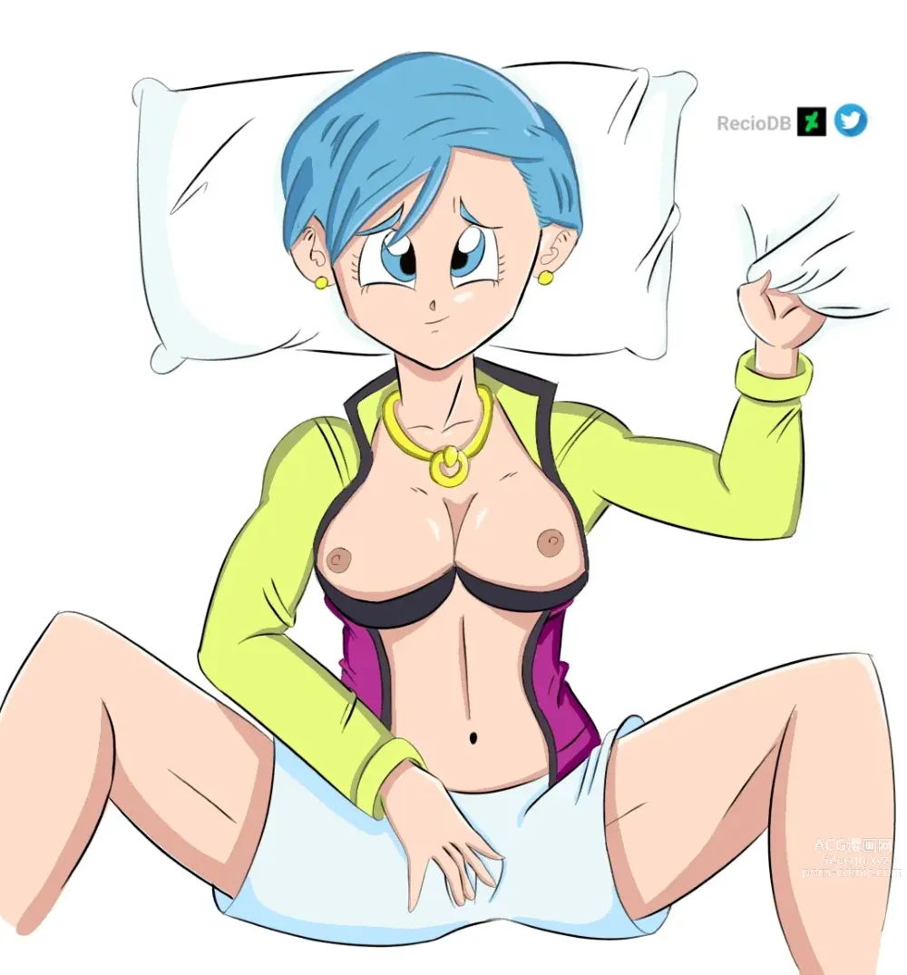 Page 1240 of imageset Bulma Briefs Collection