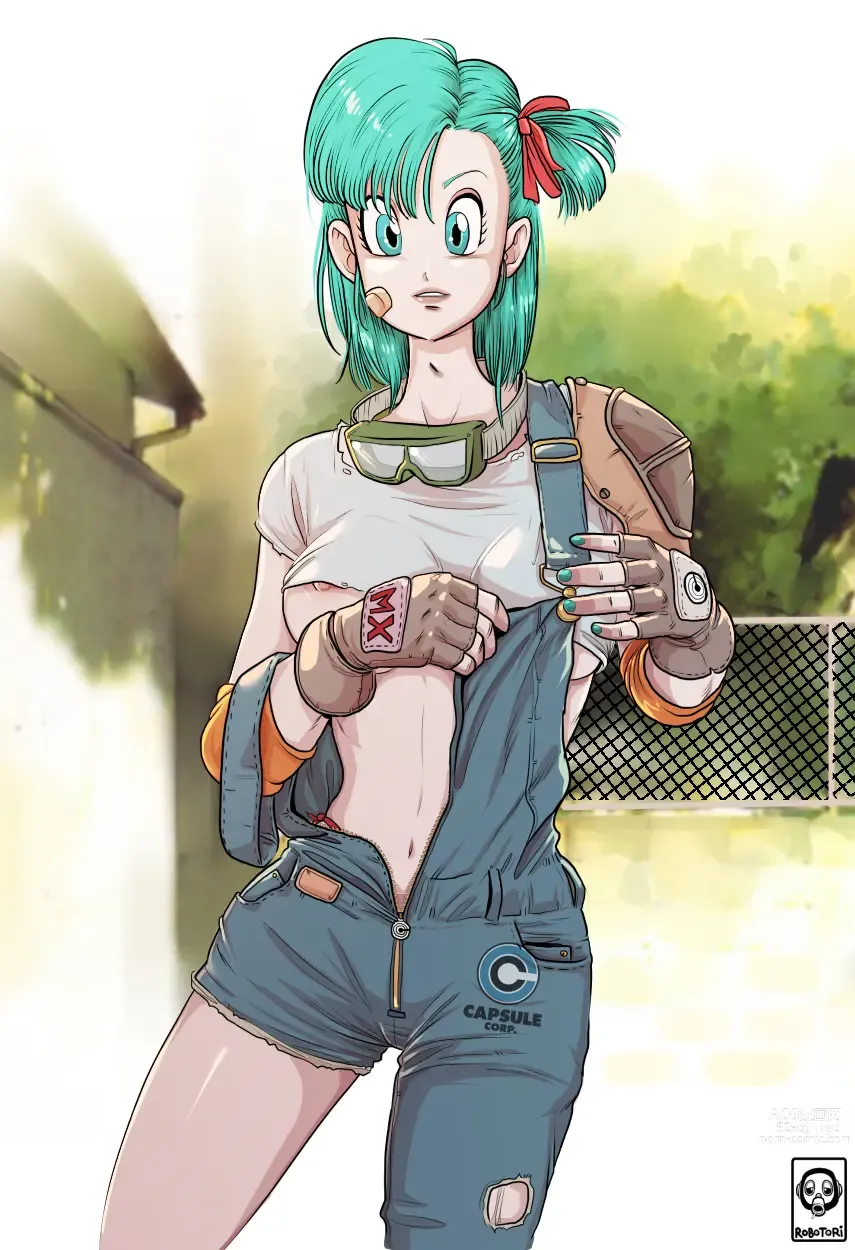 Page 191 of imageset Bulma Briefs Collection