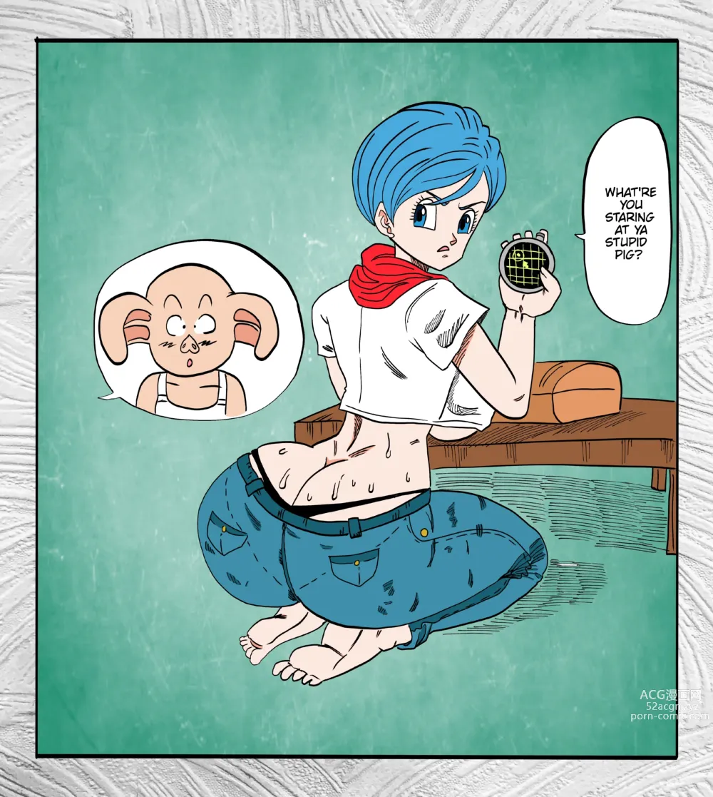 Page 333 of imageset Bulma Briefs Collection