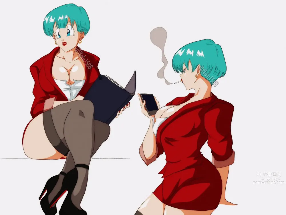 Page 1492 of imageset Bulma Briefs Collection