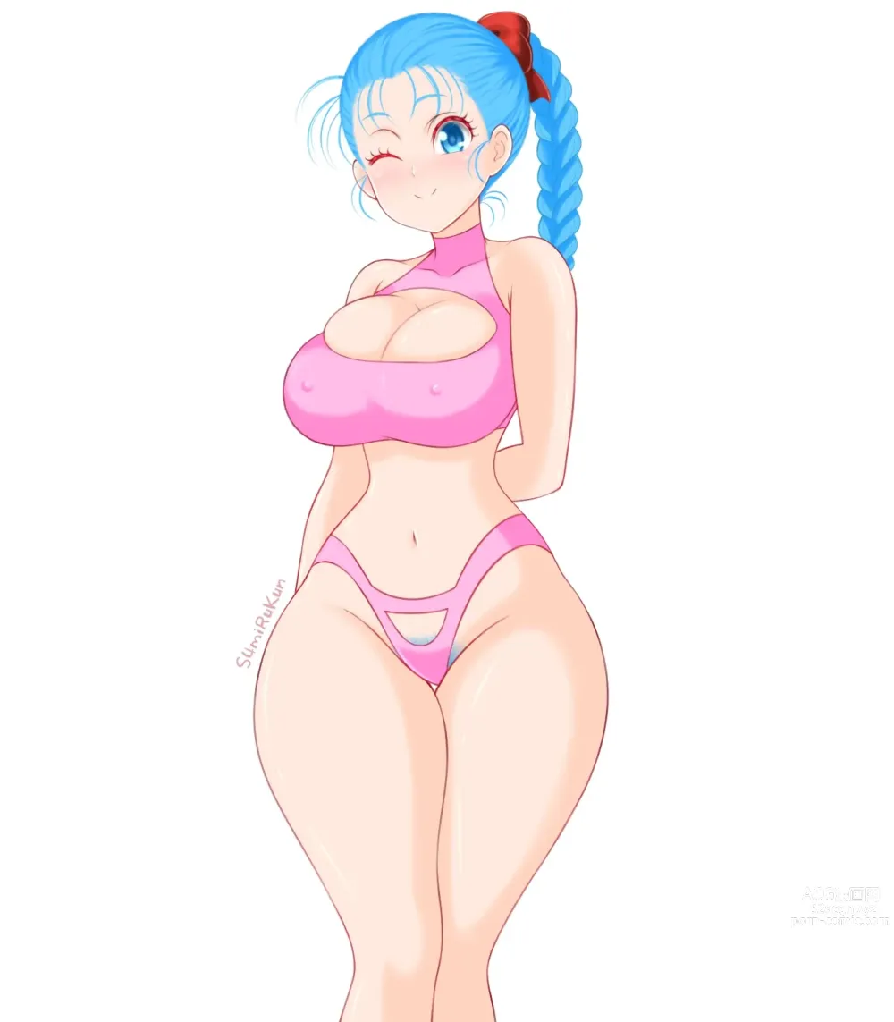 Page 357 of imageset Bulma Briefs Collection