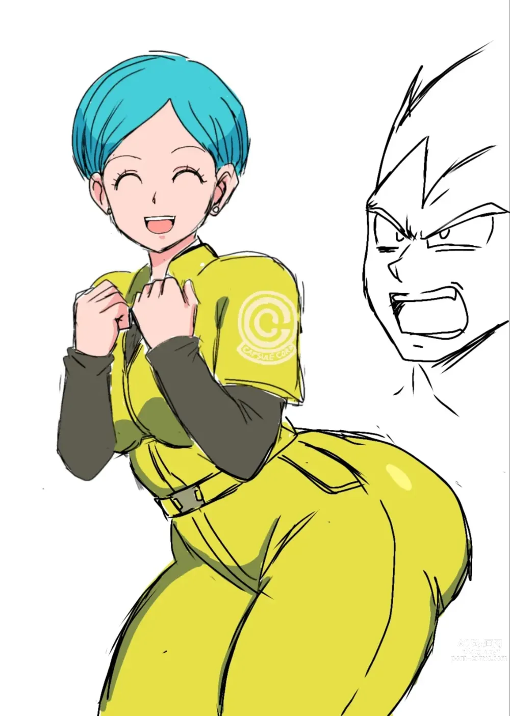 Page 333 of imageset Bulma Briefs Collection