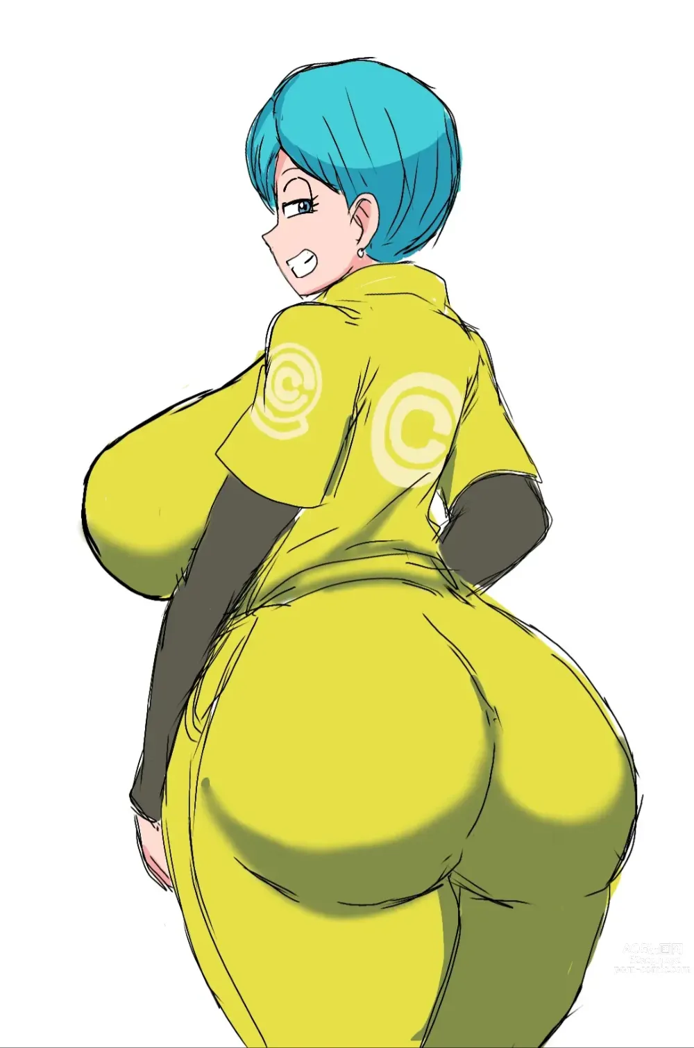 Page 335 of imageset Bulma Briefs Collection