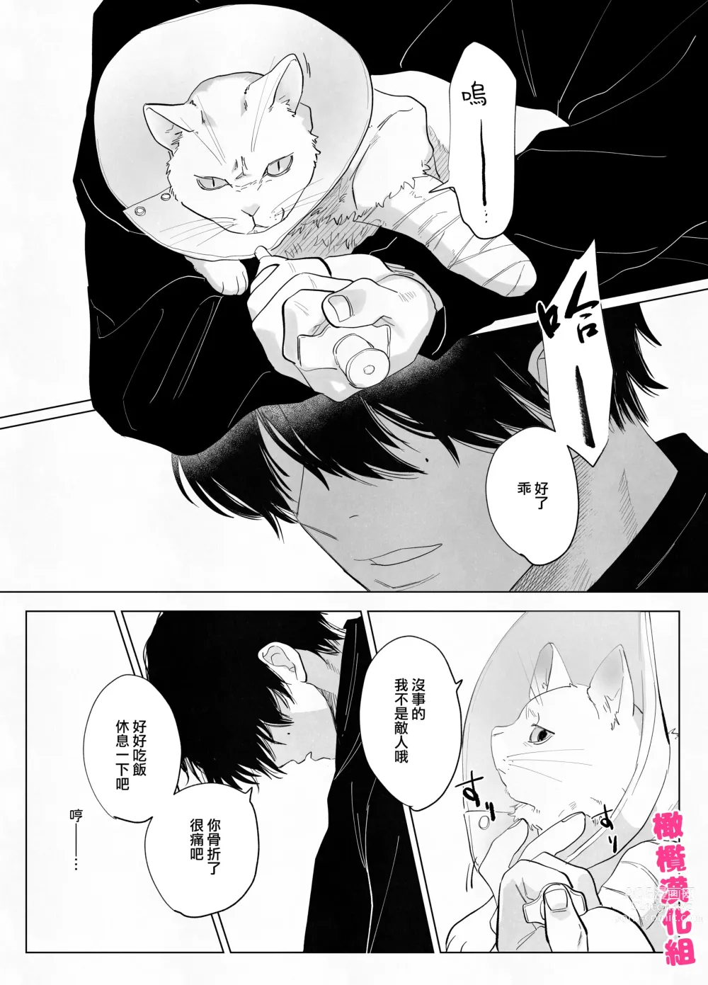 Page 6 of doujinshi 猫与未亡人