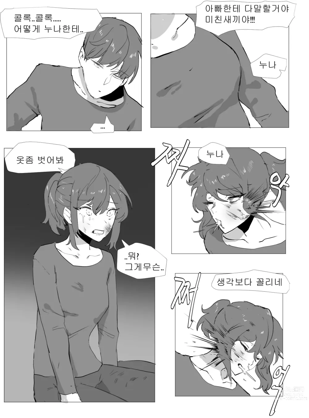 Page 5 of doujinshi 친누나 따먹는만화