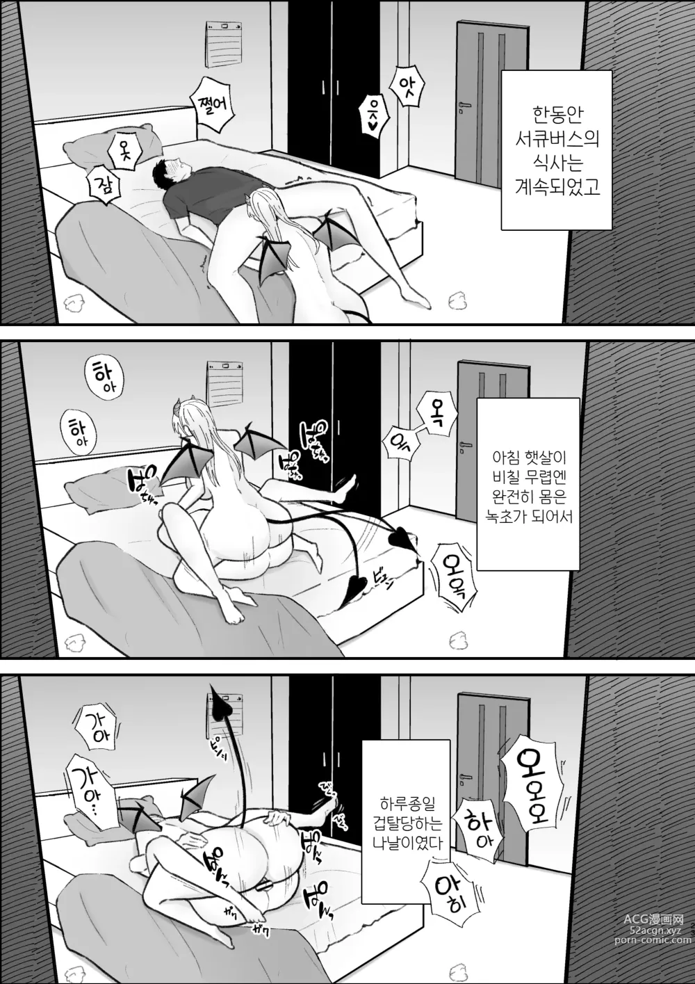 Page 24 of doujinshi サキュバス姉妹による甘々搾精奉仕