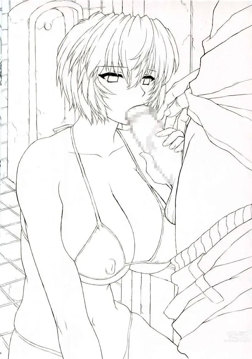 Page 14 of doujinshi Ayanami 5 Meirei-hen Gentei Omakehon 2005.2