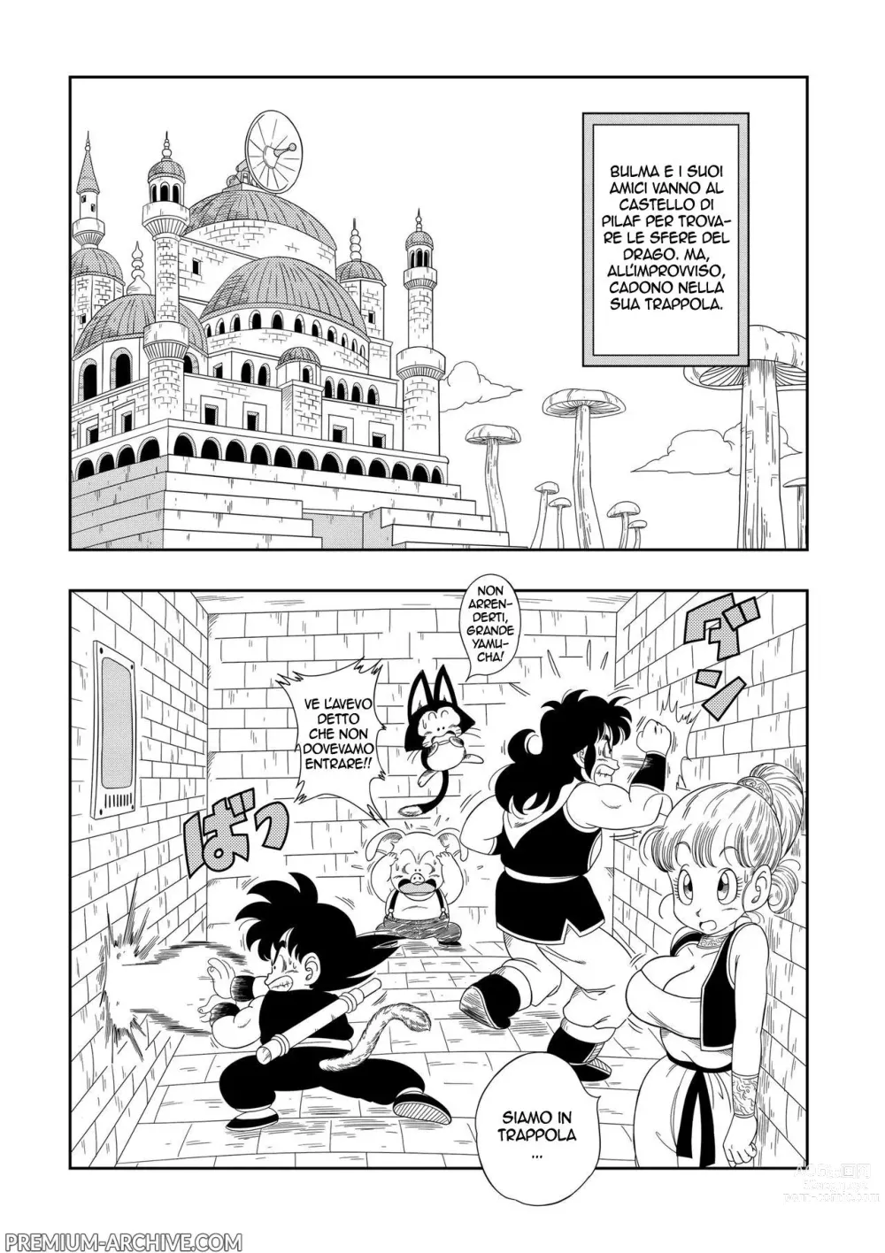 Page 2 of doujinshi Punizioni al Castello di Pilaf (decensored)