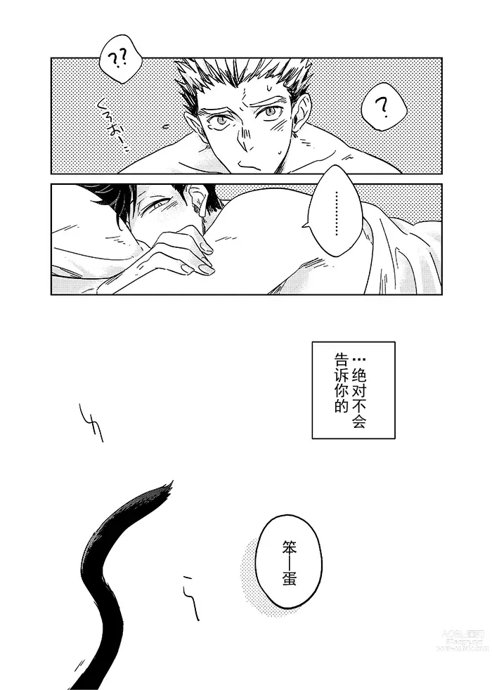 Page 19 of doujinshi 爱了一百万次的黑猫