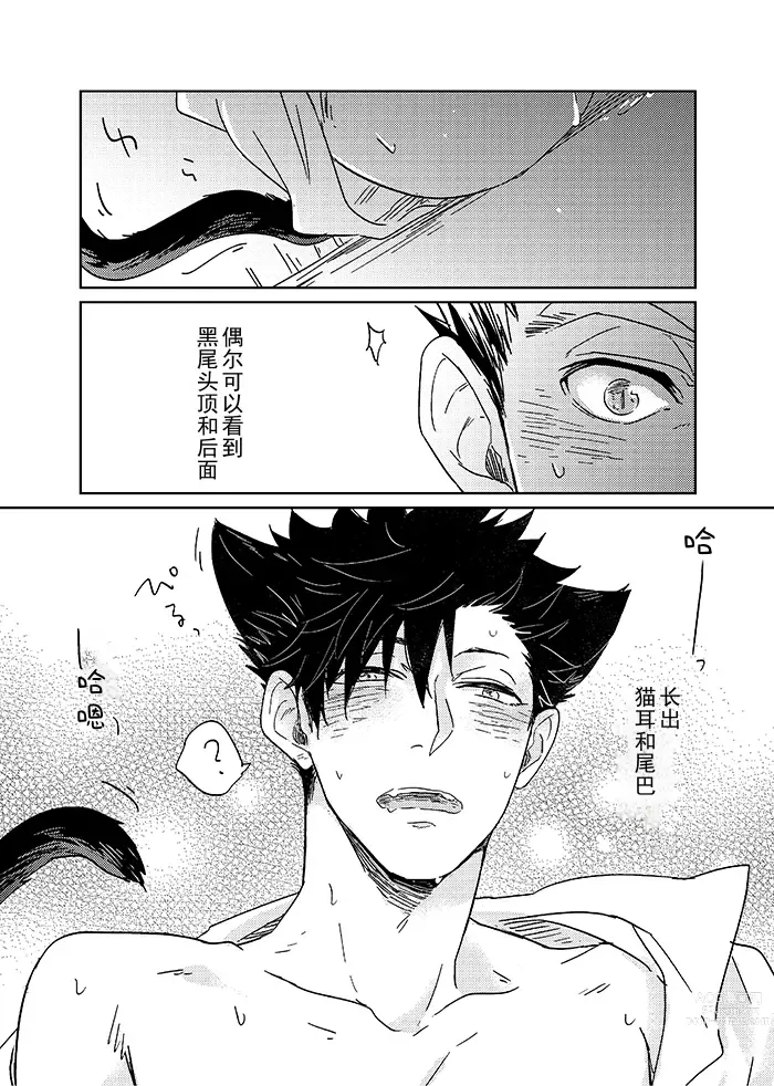 Page 6 of doujinshi 爱了一百万次的黑猫