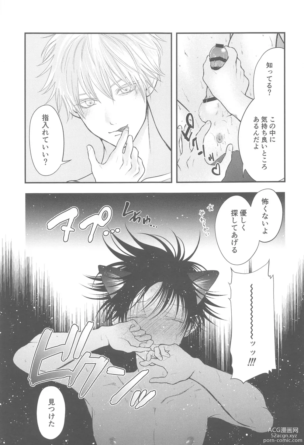 Page 22 of doujinshi Nyan Nyan Panic!? 2 ~Yoru no Hatsujouki Trouble Kaiketsu Hen~