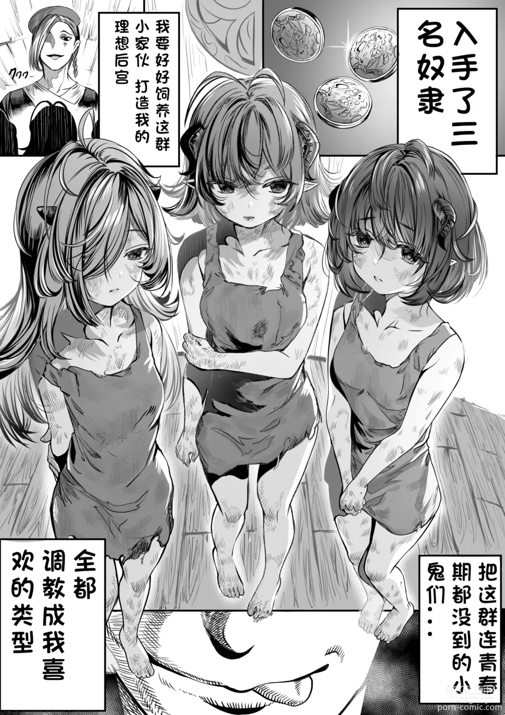 Page 3 of doujinshi Dorei o chokyo shite haremu tsukuru