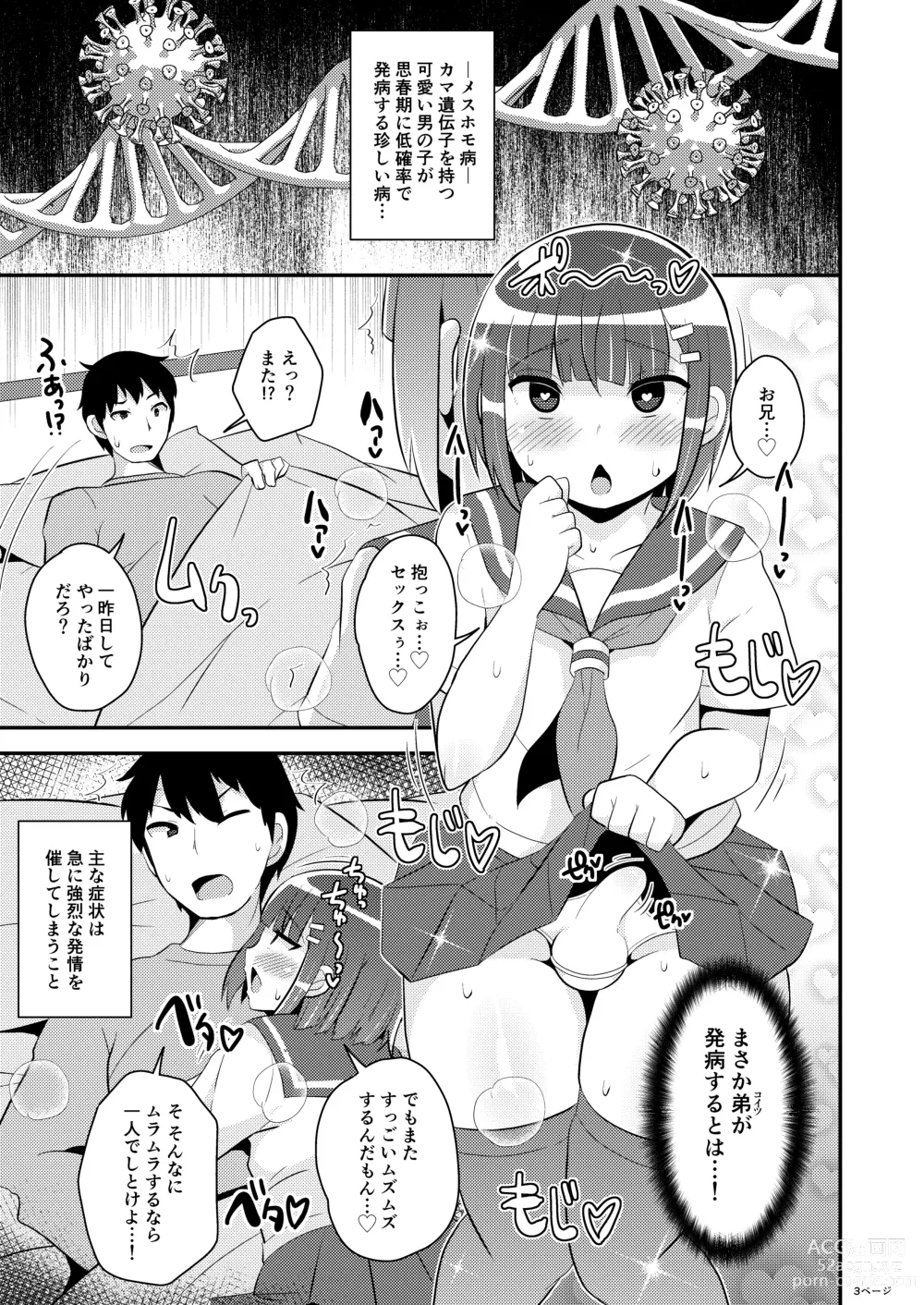 Page 3 of doujinshi Hatsujou Okama no Seishori Gakari