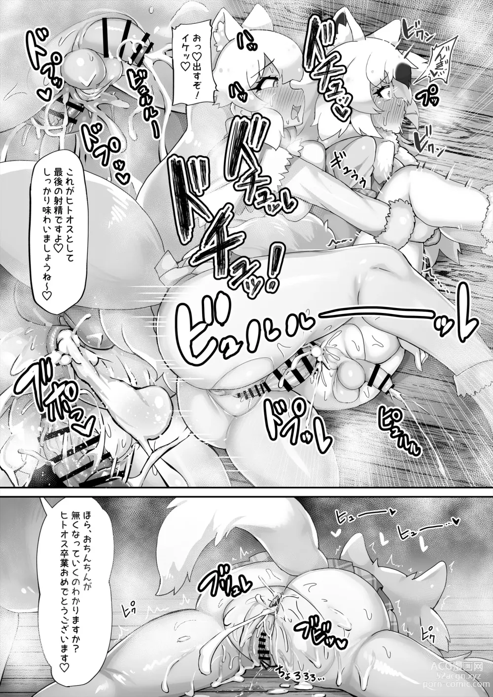 Page 29 of doujinshi Kemono Sauna 2