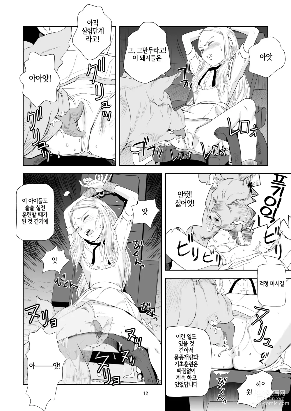 Page 12 of doujinshi 영애 짐승 변할 변 3