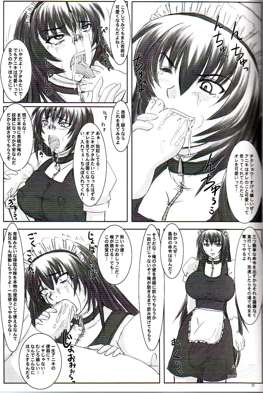 Page 23 of doujinshi Tatakae! Kyouhime-sama!!