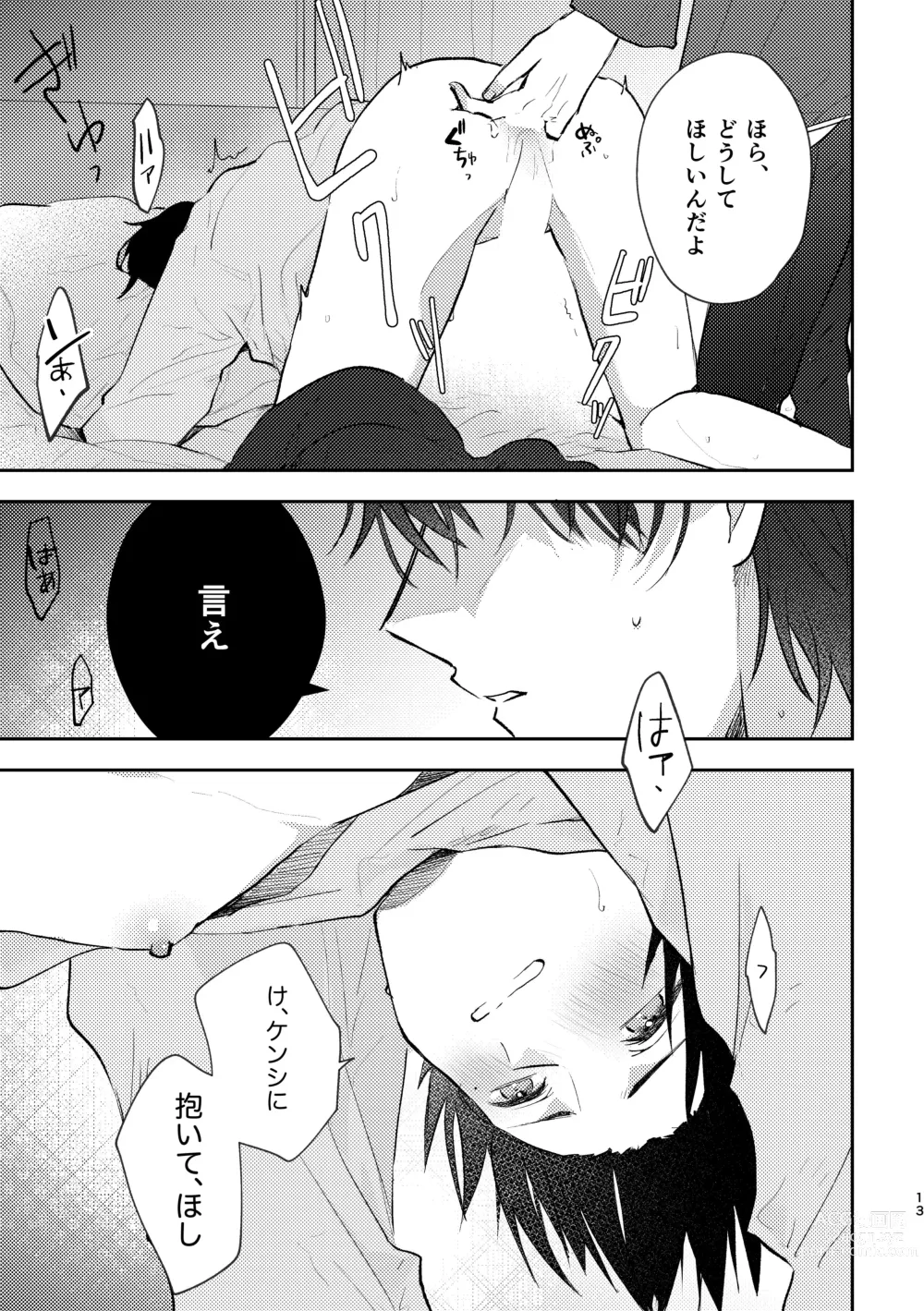 Page 13 of doujinshi セカンドセックス・コンプレックス