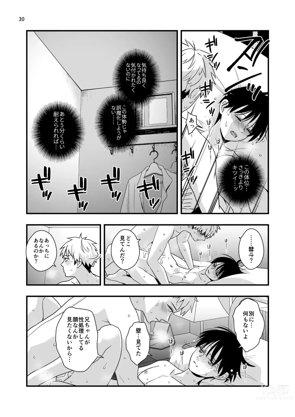 Page 30 of doujinshi Boku shika Shiranai Ani no Kao 2