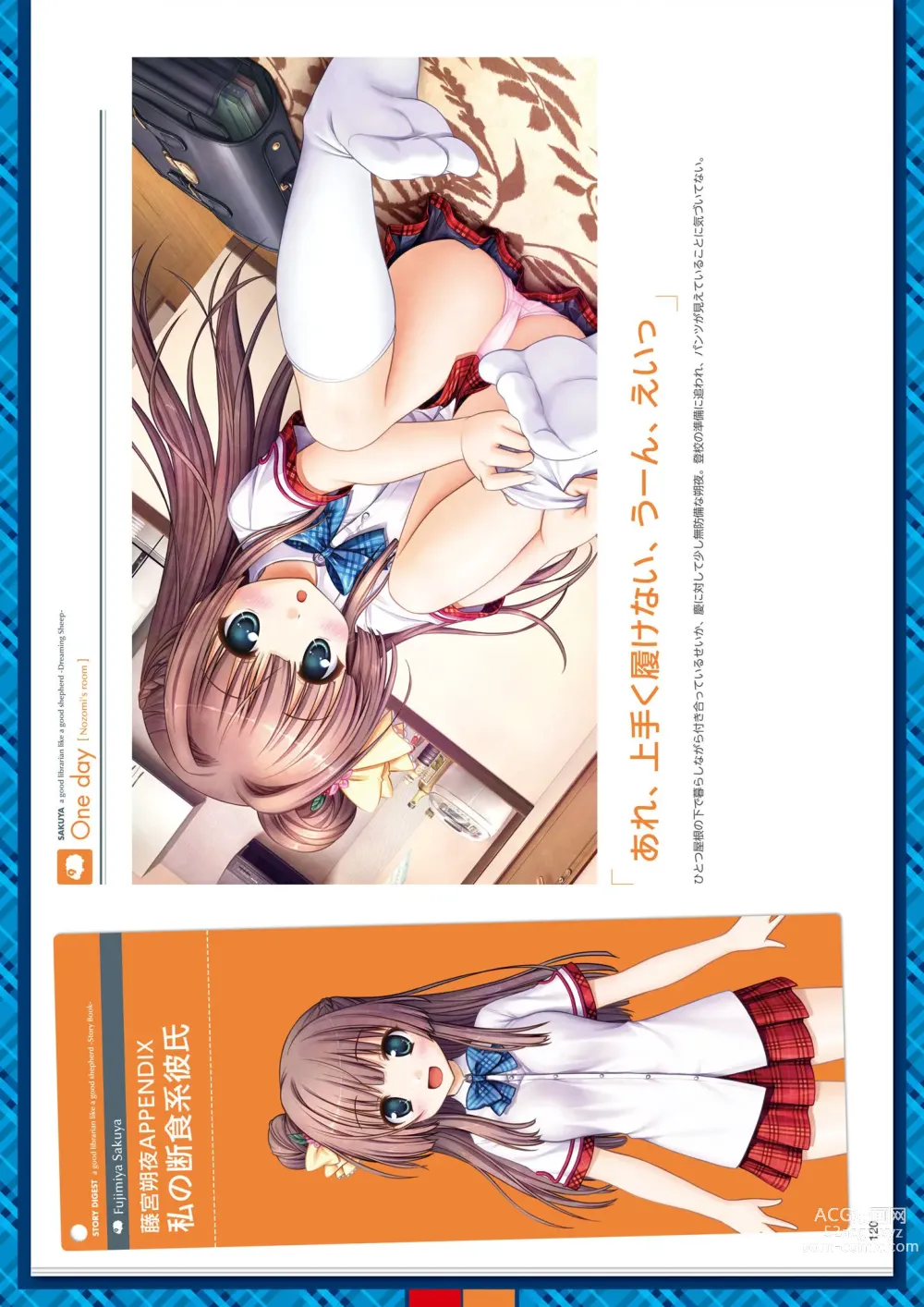 Page 216 of manga Daitoshokan no Hitsujikai Visual Fan Book Houkago Shippo Days & Dreaming Sheep Visual Fan Book