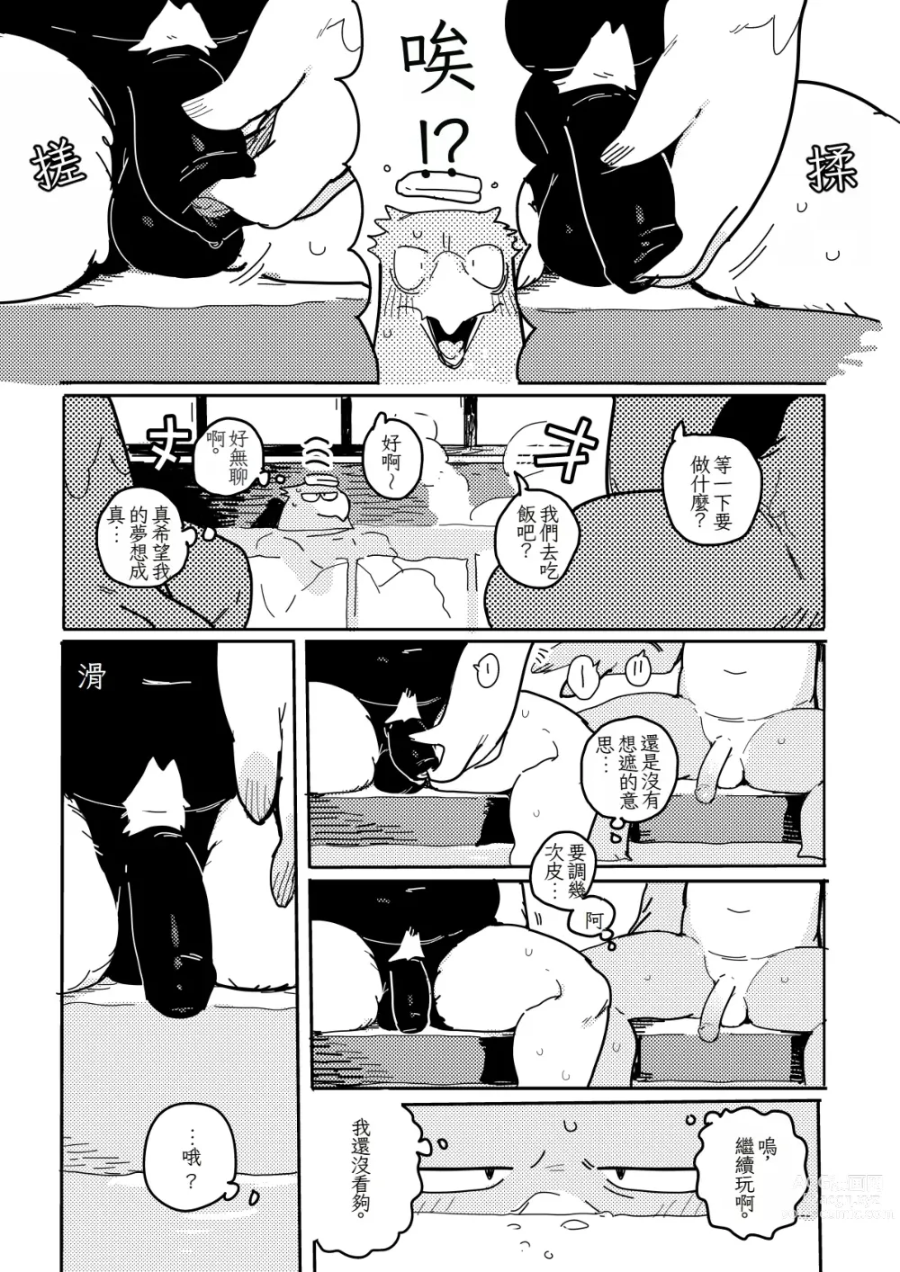 Page 3 of doujinshi White-Tailed Eagle and Owls 白尾鷹與鴞