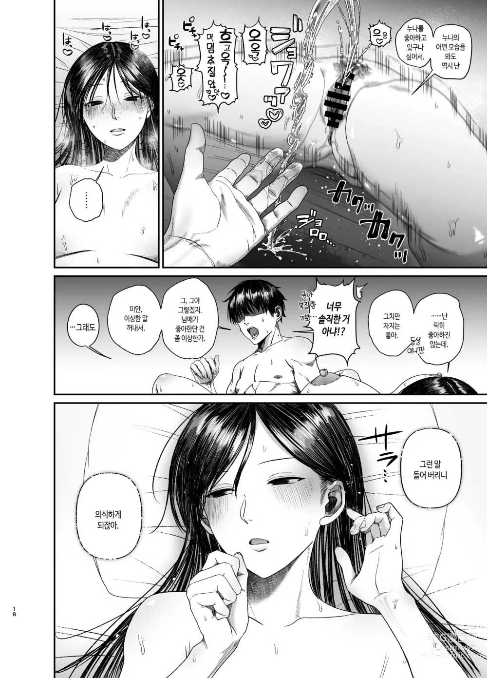 Page 18 of doujinshi 누나로 딸치는 동생과 자위 마려운 누나가 조우한 결과