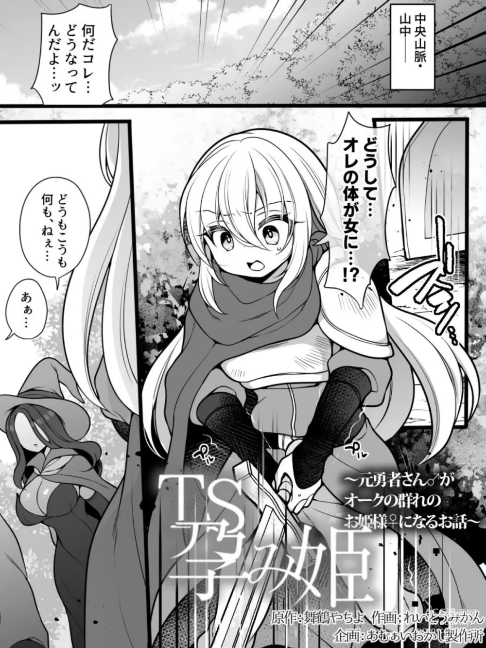 Page 2 of doujinshi TS Impregnated Princess ~A story about a former hero who becomes the princess of a group of orcs~