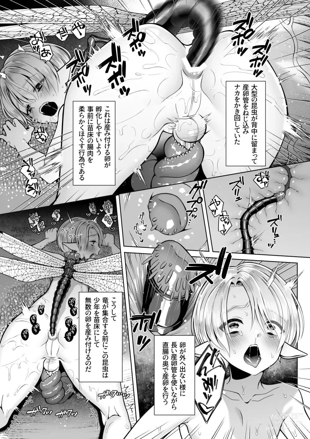 Page 22 of doujinshi Futago Elf no junan kouhen