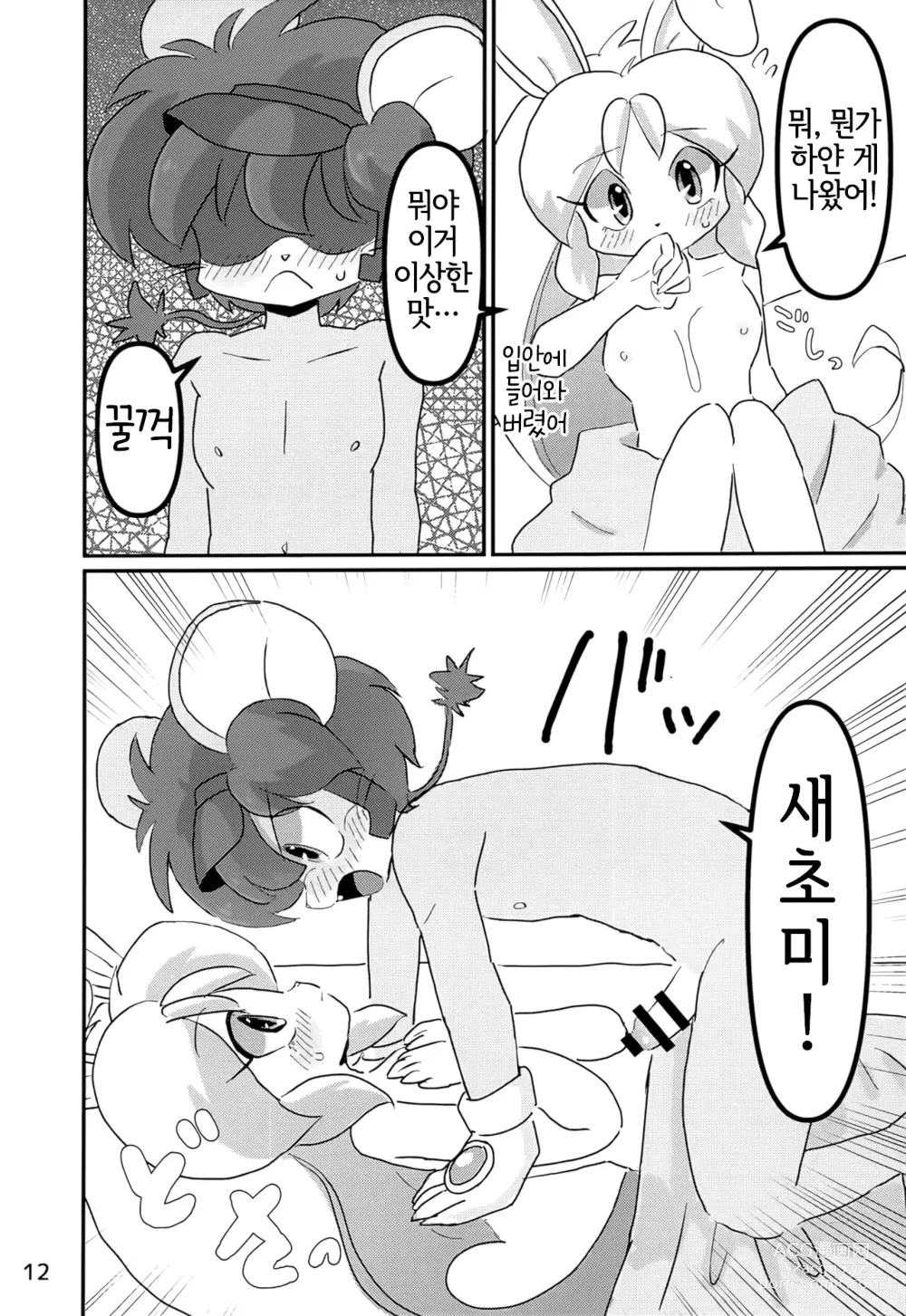 Page 11 of doujinshi Juunishi Lovers