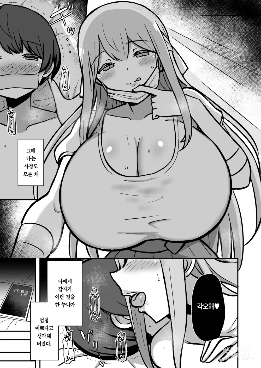 Page 17 of doujinshi 나와 누나의 기분 좋은 공부