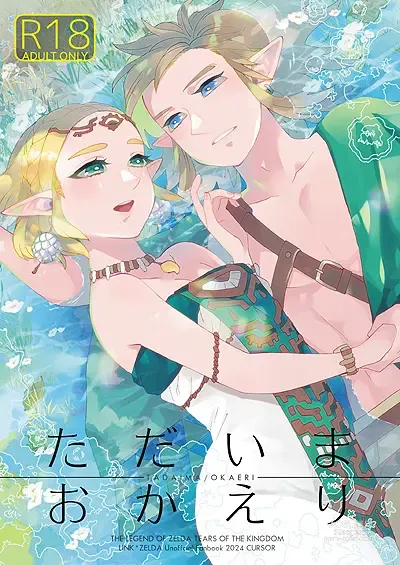 Page 1 of doujinshi Tadaima/ okaerio(The Legend of Zelda) [Sample