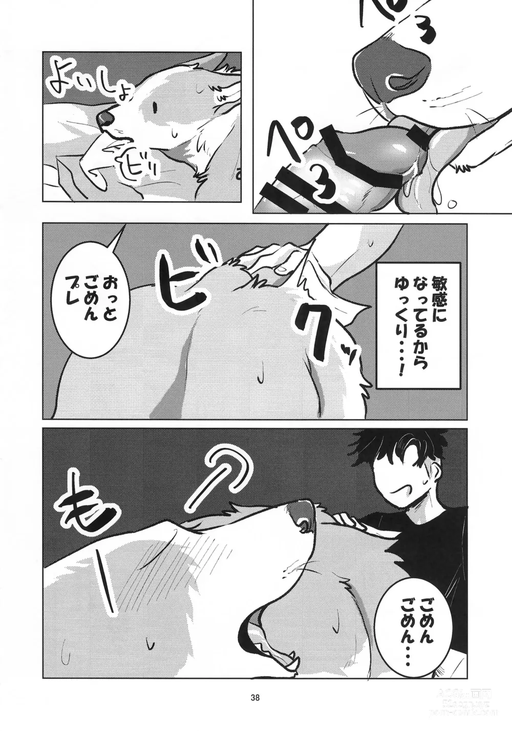 Page 38 of doujinshi Enchanted Bread / Cat No Shuukai Jo