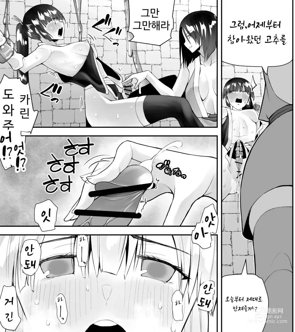 Page 27 of doujinshi Kunoichin Ni