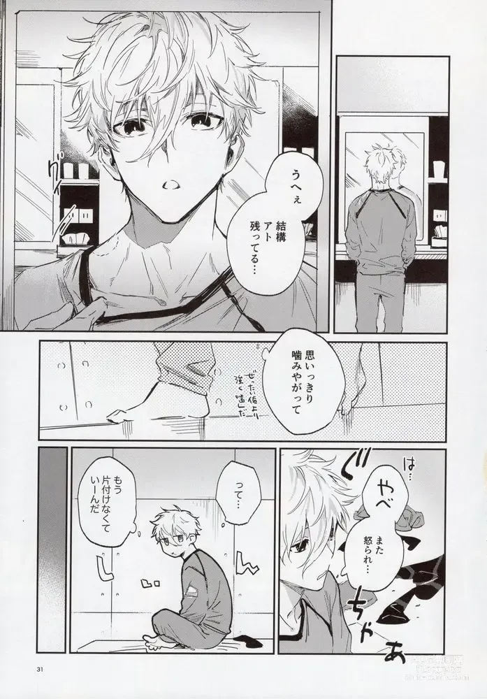 Page 30 of doujinshi VIVID ADDITIVE MIXTURE