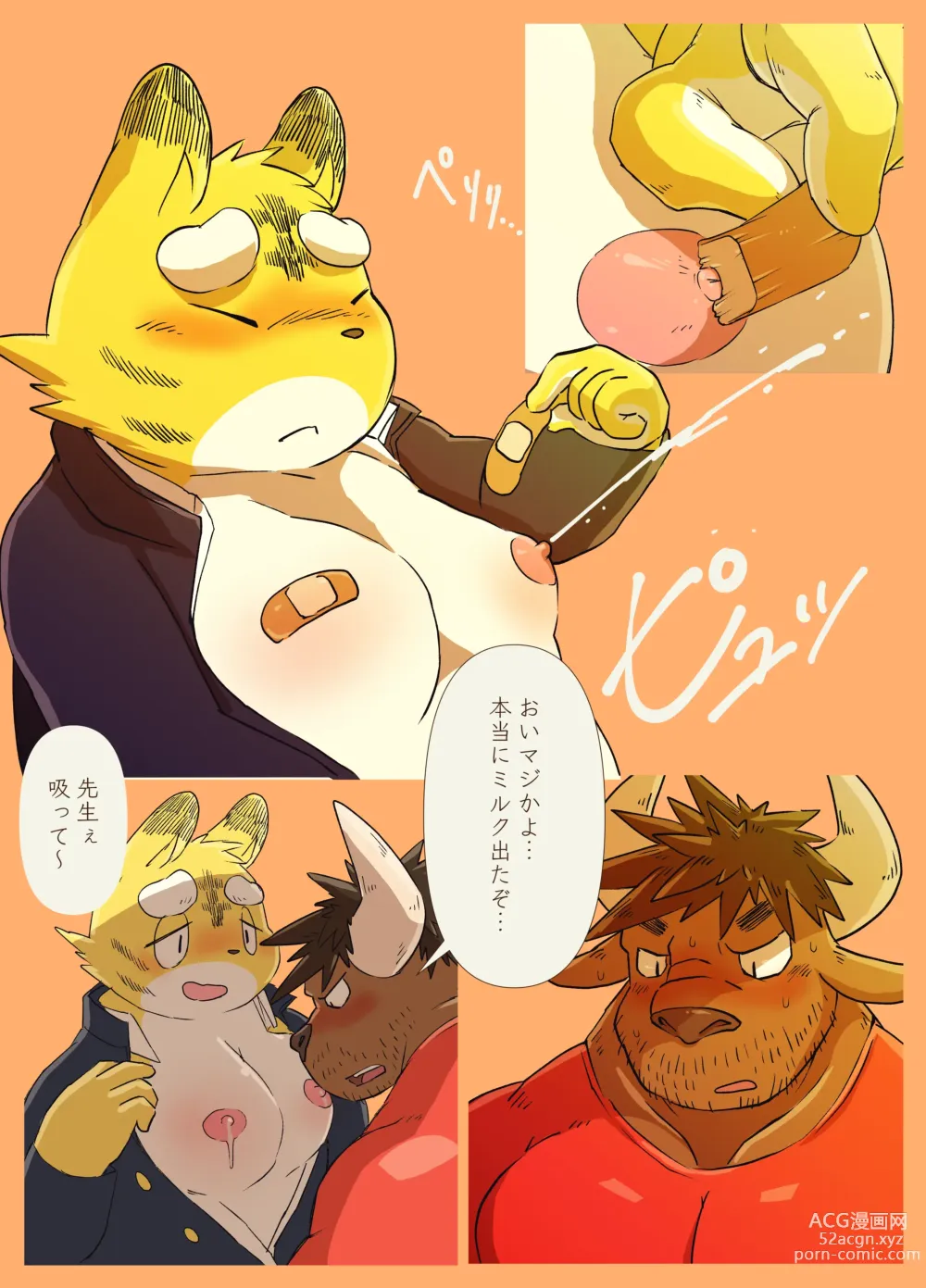 Page 15 of doujinshi Muscular Bull Teacher & Chubby Tiger Student